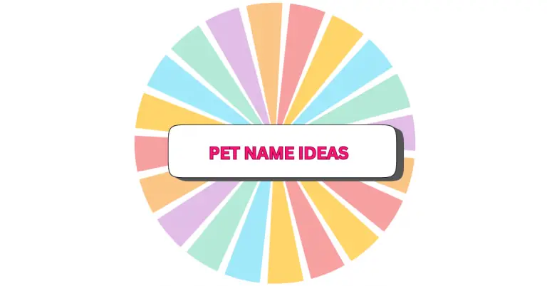 A colorful spinning wheel with pastel segments, featuring a white box in the center that says PET NAME IDEAS in bold pink letters.